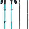 Black Diamond Women's Distance Carbon FLZ Trekking Poles