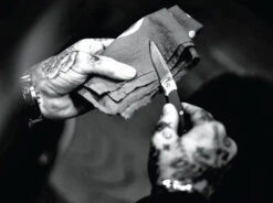 Gerber Wingtip Clip Folding Pocket Knife 20 Gerber Wingtip Clip Folding Pocket Knife -Sports Equipment 91fc7d4f dbdc 426e a825 10329b46e147wt2