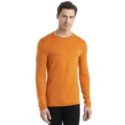 Icebreaker Merino 260 Technical Thermal Long Sleeve Top -Sports Equipment FW23 Men 260 Tech LS Crewe 104371865 1copy 1