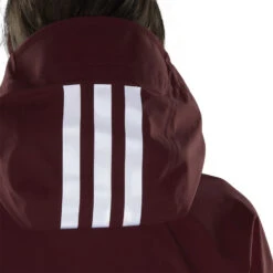 Adidas TERREX Women's 3-Layer Gore-Tex Snow Suit -Sports Equipment HD8333 8 APPAREL OnModel DetailView1 transparentcopy