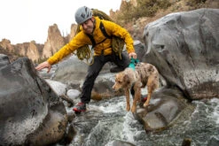 Ruffwear Flagline Lightweight Pet Dog Harness -Sports Equipment d9b33160 feca 462a 9a79 d7473088d6d5Web 3055 Flagline Harness Meltwater Teal Rock Climbing 07