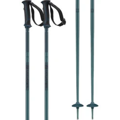 Salomon Arctic Ski Poles