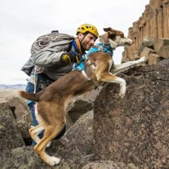 Ruffwear Flagline Lightweight Pet Dog Harness -Sports Equipment it67