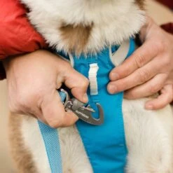 Ruffwear Flagline Lightweight Pet Dog Harness -Sports Equipment it69f