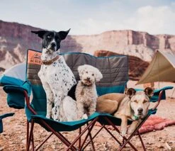 Kelty Loveseat Low Padded Double Camping Chair 15 Kelty Loveseat Low Padded Double Camping Chair -Sports Equipment jjet1130