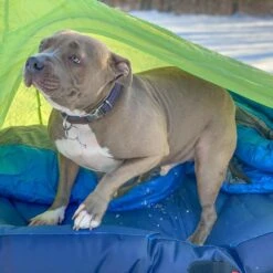 Big Agnes Goosenest Inflatable Cot Bed -Sports Equipment zllo1059